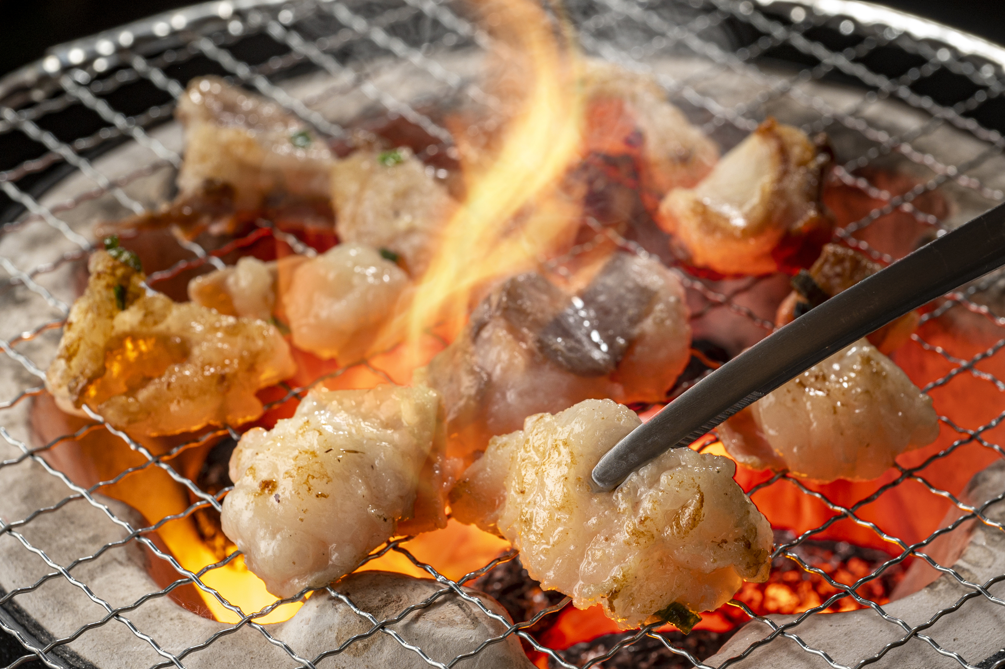 一歩踏み込むとさらに美味い!内臓系(ホルモン)部位とは?